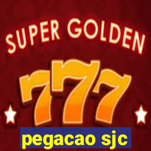 pegacao sjc